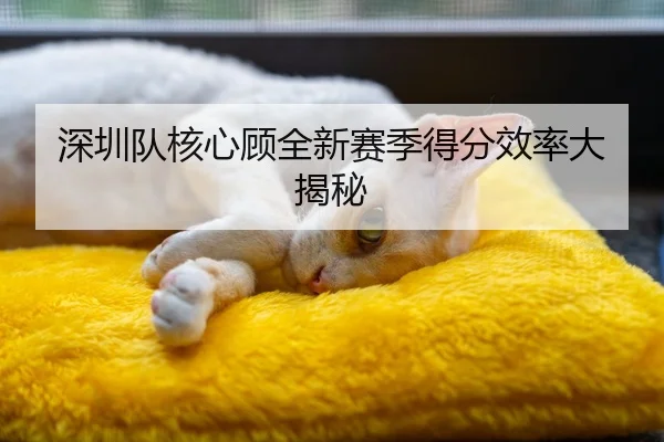 深圳队核心顾全新赛季得分效率大揭秘